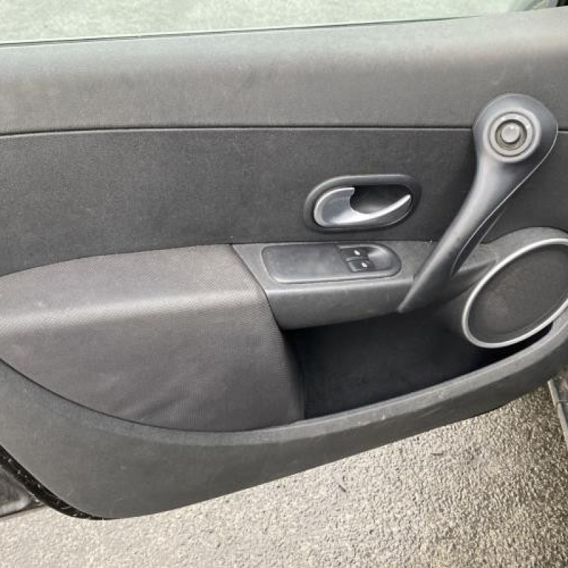 Porte avant gauche RENAULT CLIO 3 Photo n°15