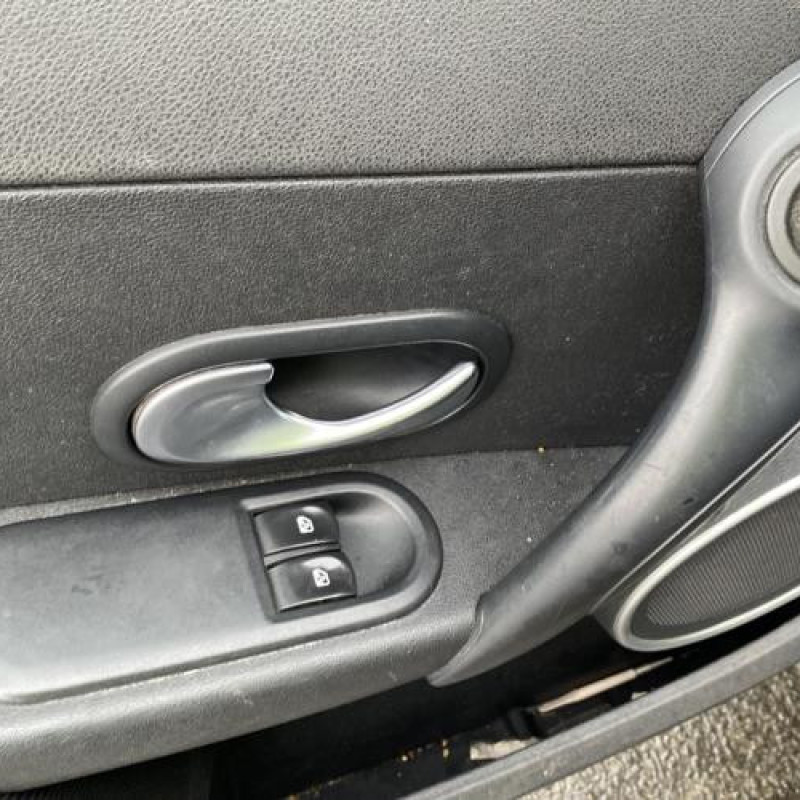 Porte avant gauche RENAULT CLIO 3 Photo n°16