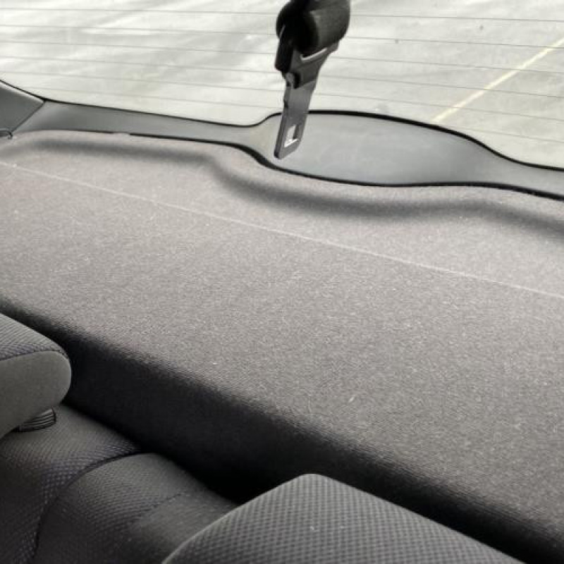 Porte avant gauche RENAULT CLIO 3 Photo n°19