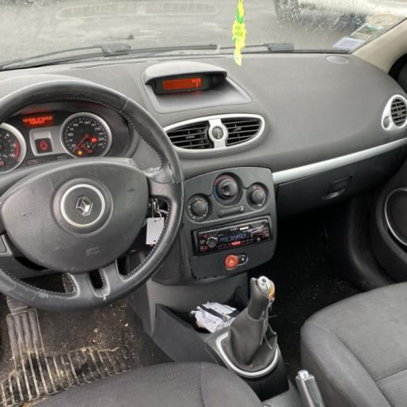Porte avant gauche RENAULT CLIO 3 Photo n°20