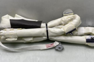 Air bag rideau gauche RENAULT CLIO 5 Photo n°1