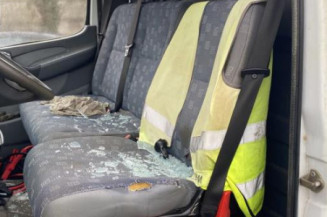 Custode avant gauche (porte) MERCEDES SPRINTER 1