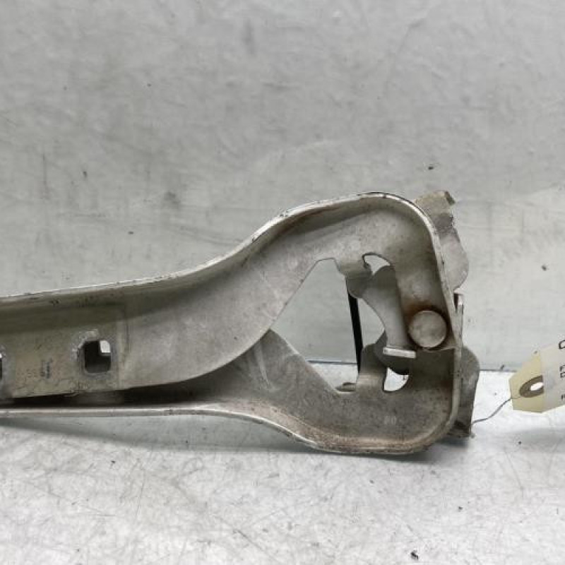 Charniere de capot FIAT DUCATO 3 Photo n°2