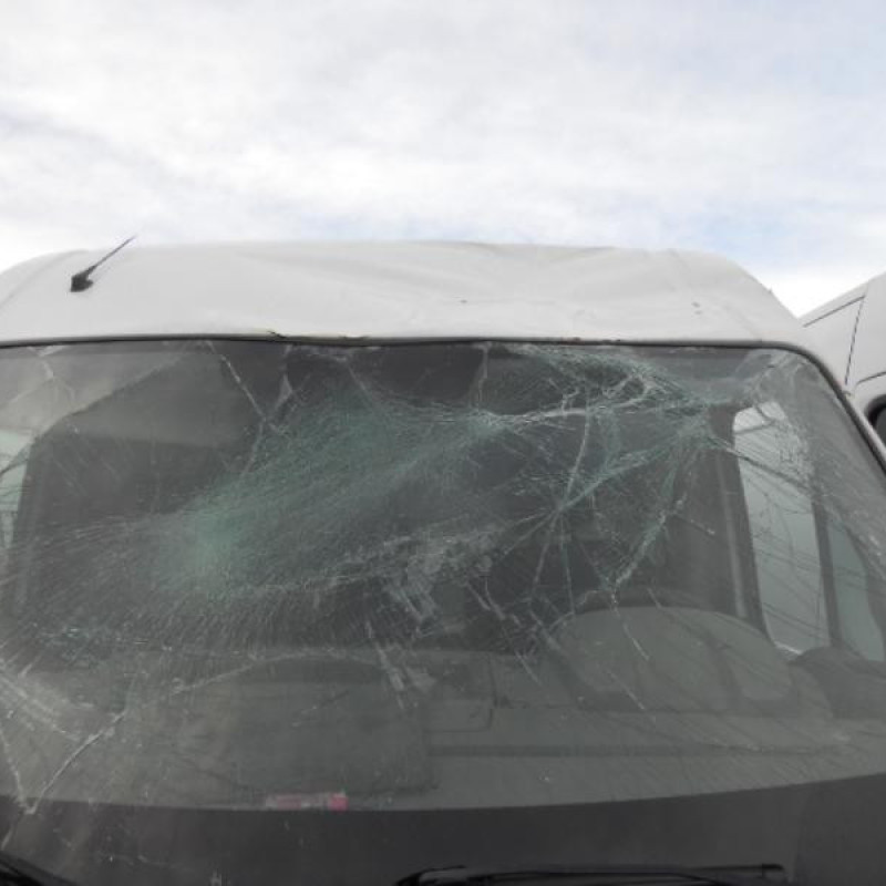Charniere de porte avant droit RENAULT MASTER 3 Photo n°3