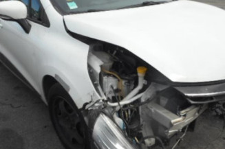 Charniere de porte arriere gauche RENAULT CLIO 4