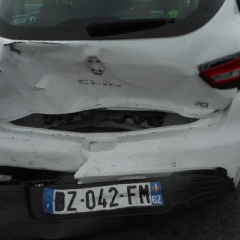 Charniere de porte arriere gauche RENAULT CLIO 4 Photo n°5