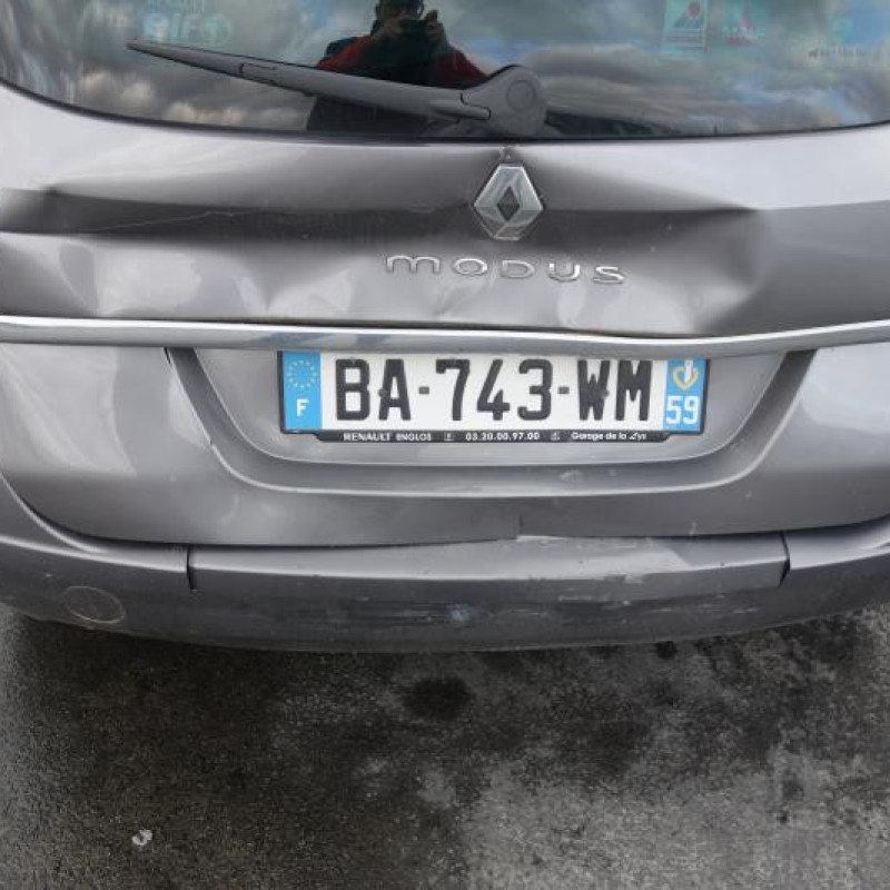 Charniere de capot RENAULT GRAND MODUS Photo n°6