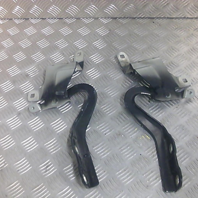 Charniere de capot RENAULT CLIO 4 Photo n°1
