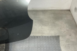 Malle/Hayon arriere RENAULT MODUS
