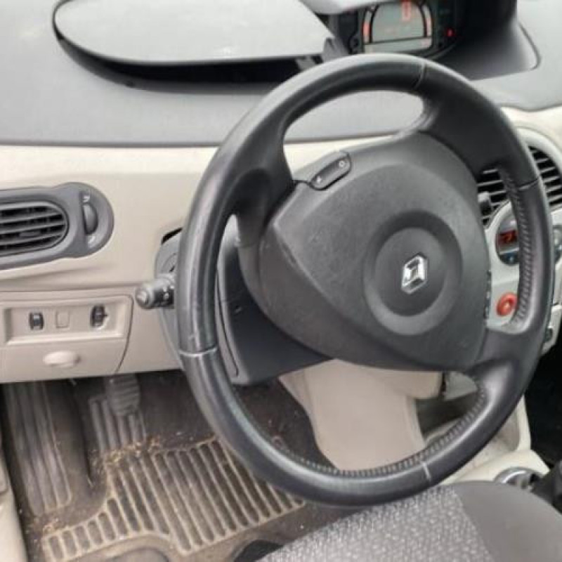 Malle/Hayon arriere RENAULT MODUS Photo n°13