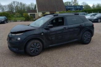 Vitre arriere droit CITROEN C4 CACTUS Photo n°1