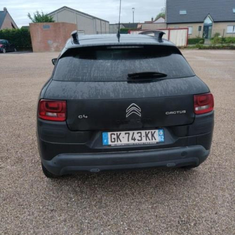 Vitre arriere droit CITROEN C4 CACTUS Photo n°4