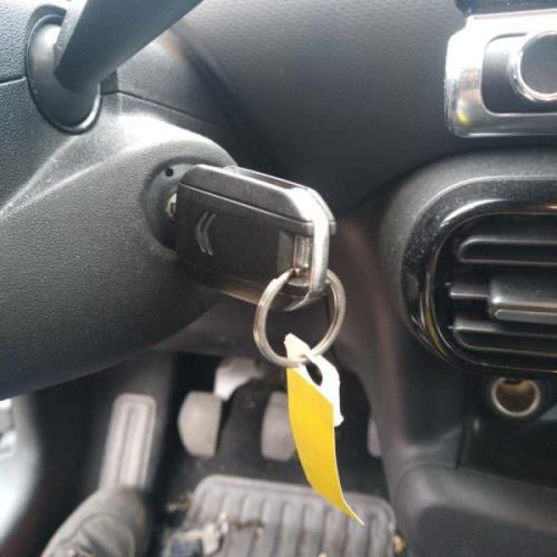 Vitre arriere droit CITROEN C4 CACTUS Photo n°6