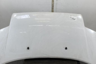 Capot CITROEN C2 Photo n°1