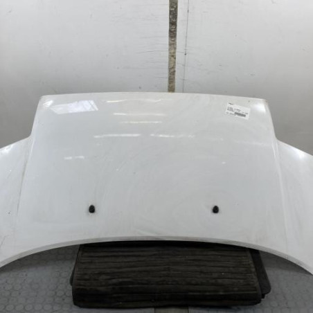 Capot CITROEN C2 Photo n°1