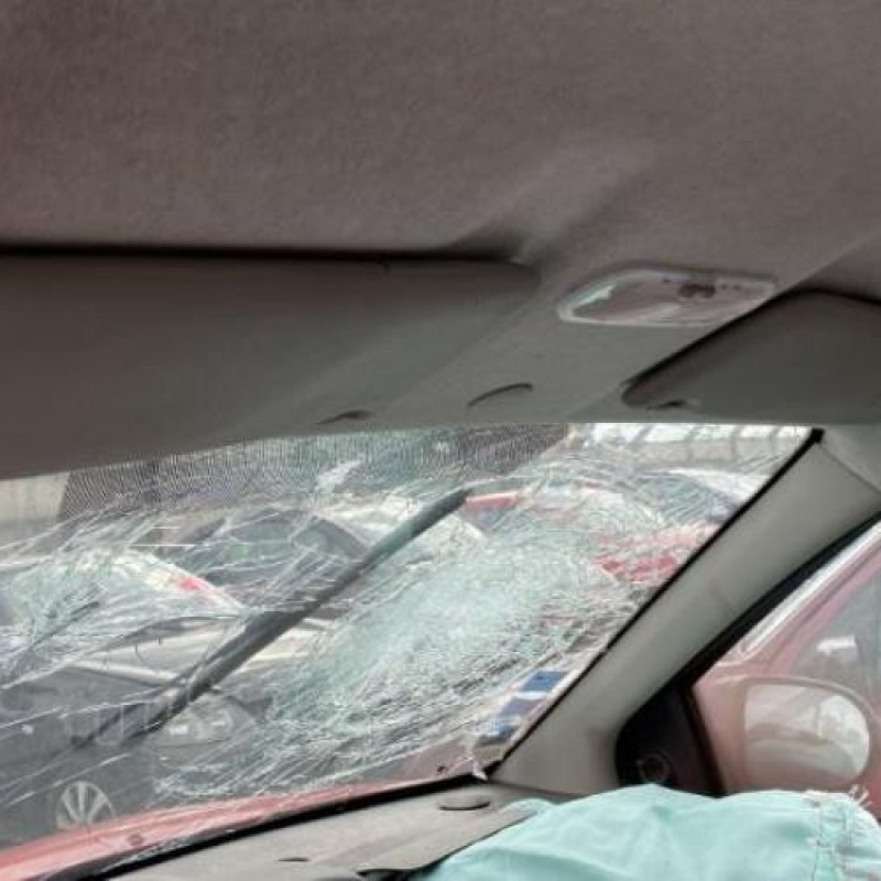 Malle/Hayon arriere RENAULT TWINGO 2 Photo n°16