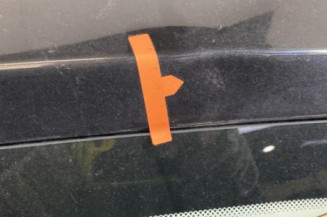Malle/Hayon arriere RENAULT CLIO 3