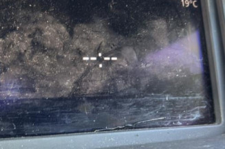 Custode avant gauche (porte) RENAULT SCENIC 3