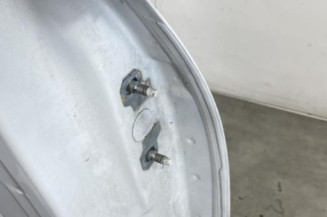 Porte arriere gauche RENAULT CLIO 4