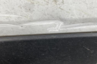 Porte avant gauche RENAULT CLIO 4