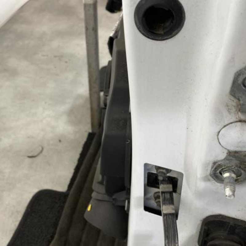 Porte avant gauche RENAULT CLIO 4 Photo n°3
