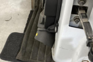 Porte avant gauche RENAULT CLIO 4