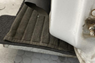 Porte avant gauche RENAULT CLIO 4