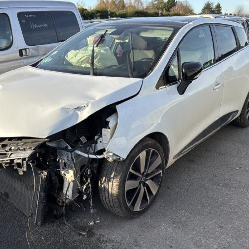 Porte avant gauche RENAULT CLIO 4 Photo n°7