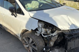 Porte avant gauche RENAULT CLIO 4
