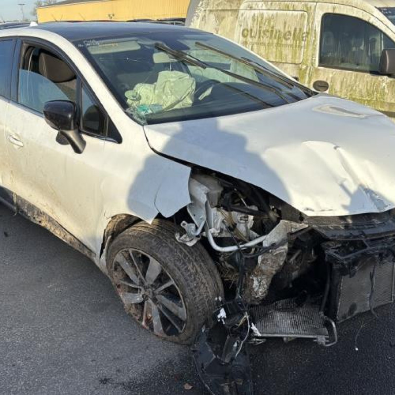 Porte avant gauche RENAULT CLIO 4 Photo n°8