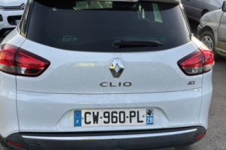 Porte avant gauche RENAULT CLIO 4