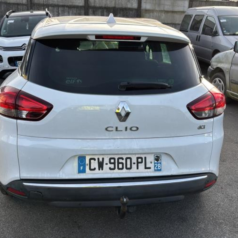 Porte avant gauche RENAULT CLIO 4 Photo n°11