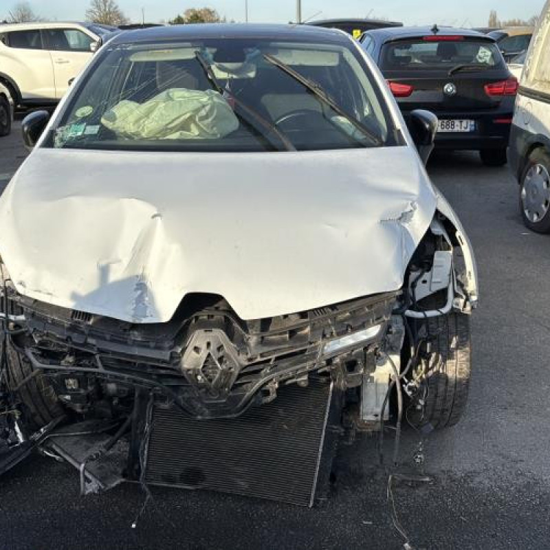 Porte avant gauche RENAULT CLIO 4 Photo n°14