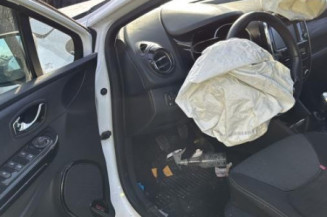 Porte avant gauche RENAULT CLIO 4