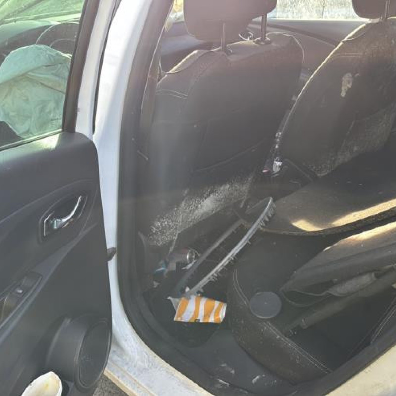 Porte avant gauche RENAULT CLIO 4 Photo n°16