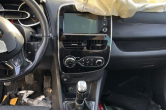 Porte avant gauche RENAULT CLIO 4