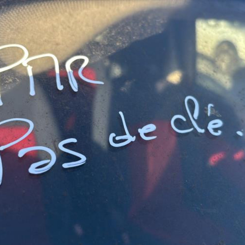 Air bag conducteur PEUGEOT 1007 Photo n°16