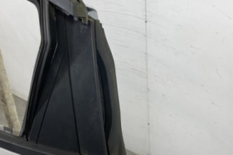 Porte arriere gauche RENAULT CLIO 5
