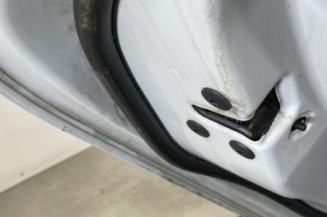 Porte arriere gauche RENAULT CLIO 5
