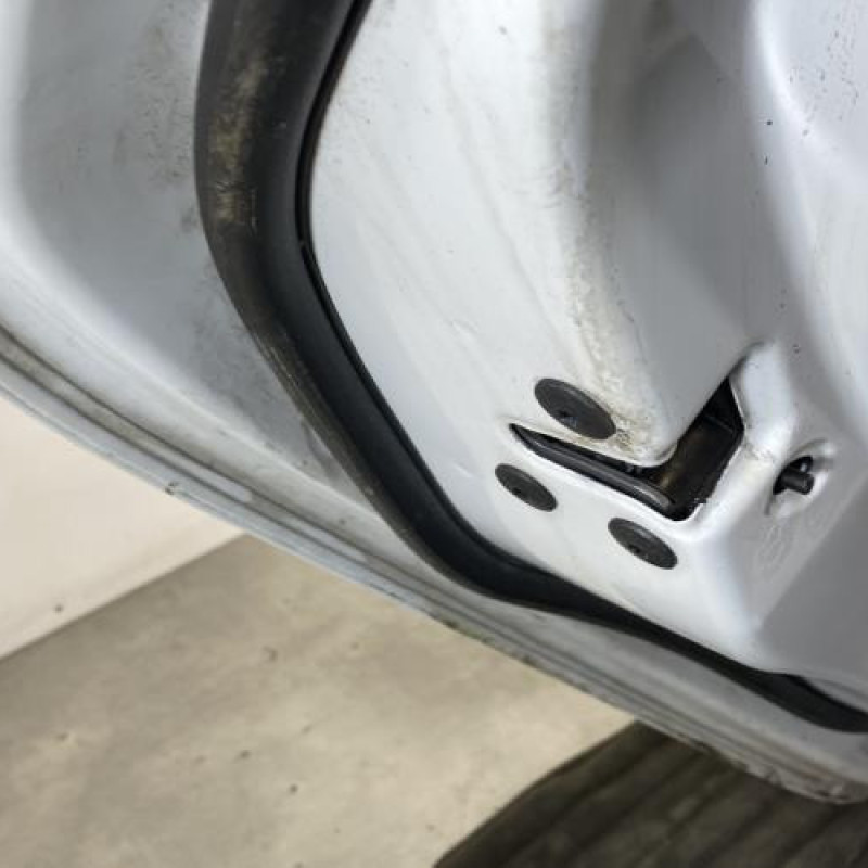 Porte arriere gauche RENAULT CLIO 5 Photo n°3