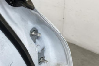 Porte arriere gauche RENAULT CLIO 5