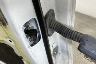 Porte arriere gauche RENAULT CLIO 5