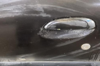 Porte avant gauche RENAULT CLIO 2 CAMPUS