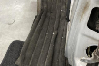 Porte avant gauche CITROEN C3 1