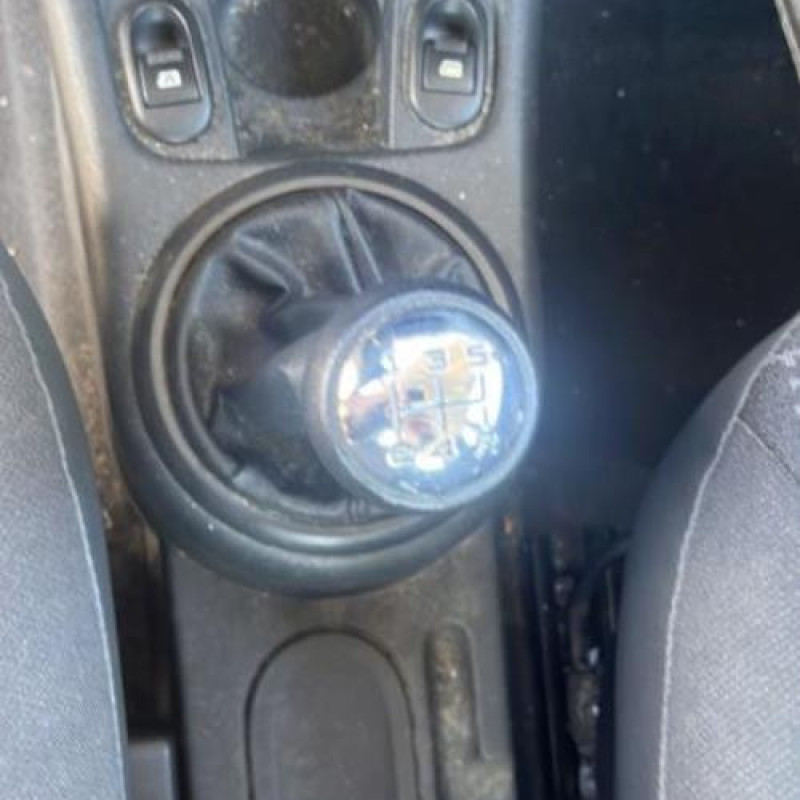 Porte avant gauche CITROEN C3 1 Photo n°11