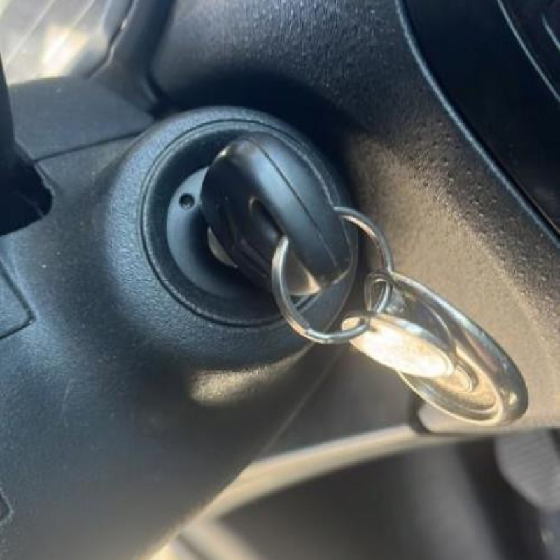Porte avant gauche CITROEN C3 1 Photo n°13
