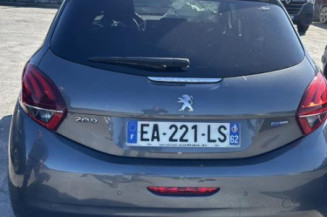 Custode avant gauche (porte) PEUGEOT 208 1