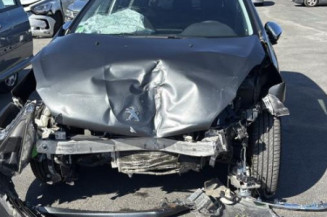 Custode avant gauche (porte) PEUGEOT 208 1