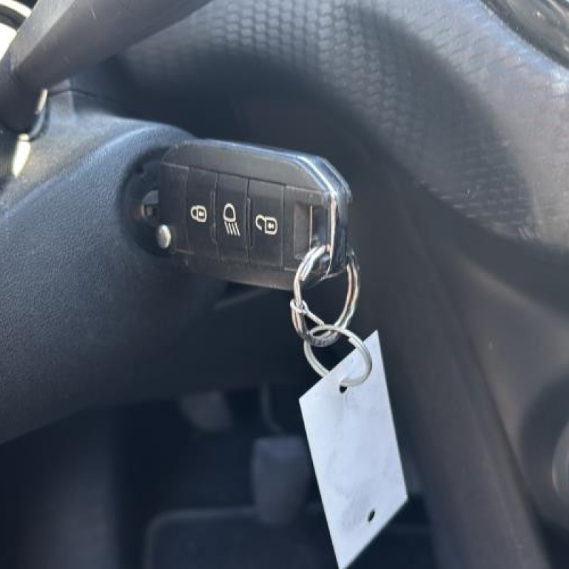 Custode avant gauche (porte) PEUGEOT 208 1 Photo n°19