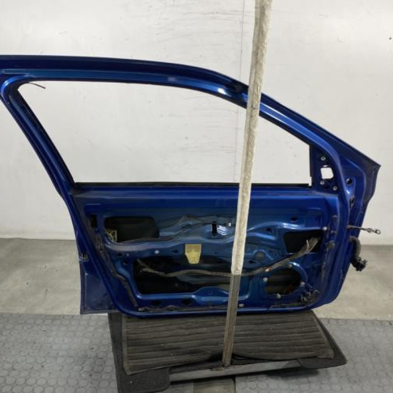 Porte avant gauche RENAULT CLIO 2 Photo n°6